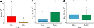 Physical Factors and Microbubble Formation Explain Differences in CH4 Dynamics Between Shallow Lakes Under Alternative States